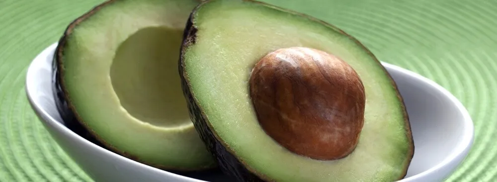 avocado