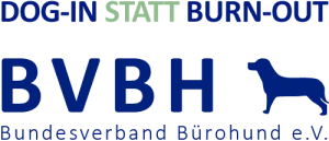 bvbh