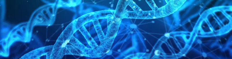 dna