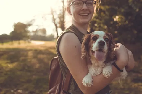 Ein Hund als bestes Mittel gegen Stress?