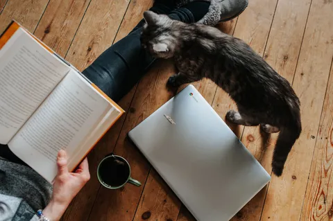 No Time To Relax – Wie Du als Frau mit Familie und Business entschleunigst