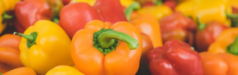 paprika