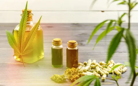 CBD-Öl als natürliches Mittel gegen Stress und Nervosität aus der Hanfpflanze