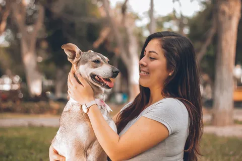 Gestresster Hund mit eingezogener Rute und gebückter Körperhaltung – Anzeichen von Stress bei Hunden
