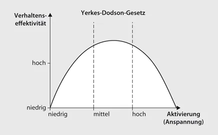 yerkes-dodson
