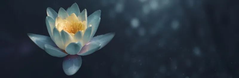 yoga-nidra-teichbluete